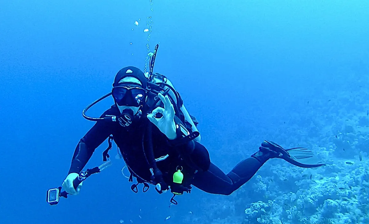 A Seasonal Guide to Photographing Your Reef Tank Through the Year